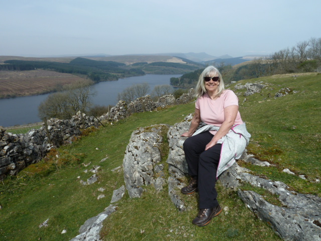 Rambler on hillside above reservoir